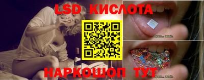 шишки Можга