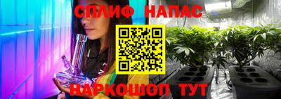 шишки Можга