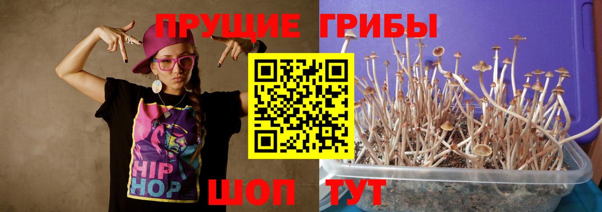 цена наркотик  Вход с VPN  Южноуральск  Псилоцибиновые грибы прущие грибы  Галлюциногенные грибы мицелий 